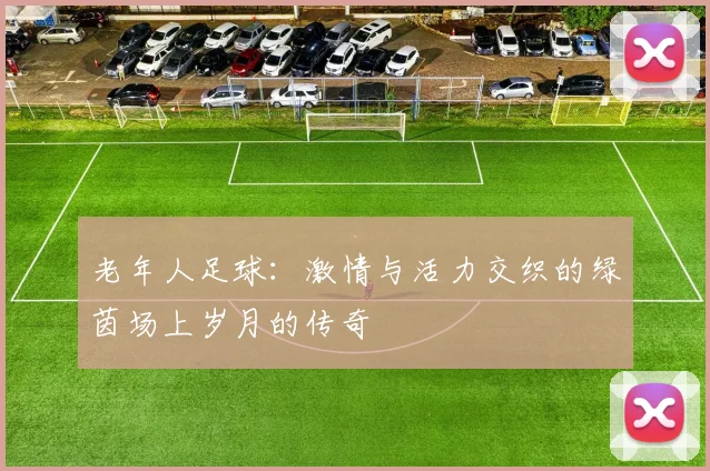老年人足球：激情与活力交织的绿茵场上岁月的传奇