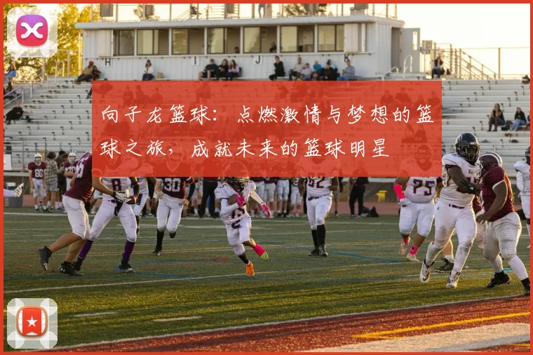 向子龙篮球：点燃激情与梦想的篮球之旅，成就未来的篮球明星