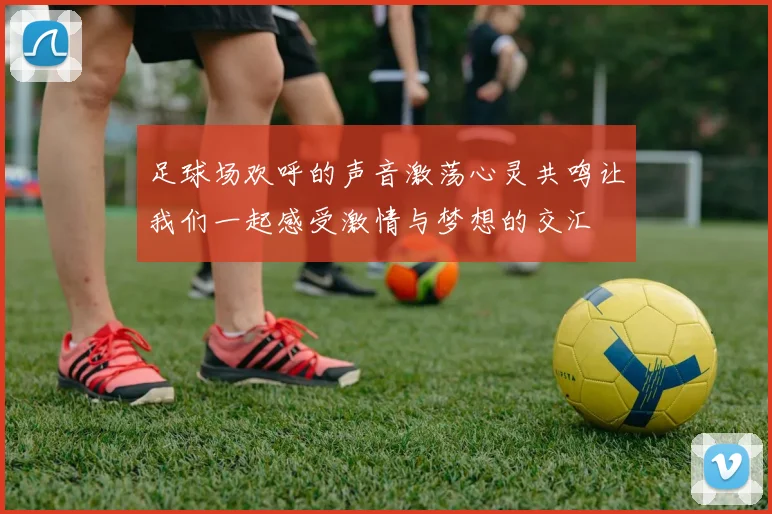 足球场欢呼的声音激荡心灵共鸣让我们一起感受激情与梦想的交汇