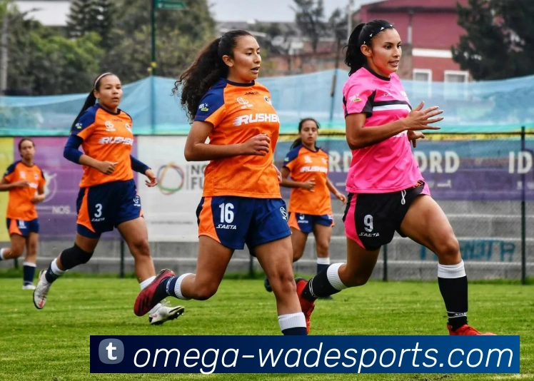 App Interface Preview